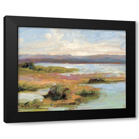 Jewels of the Wetlands Series One Black Modern Wood Framed Art Print by Curt, Brigitte
