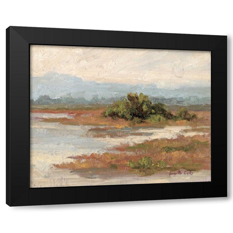 Jewels of the Wetlands Series One Black Modern Wood Framed Art Print by Curt, Brigitte