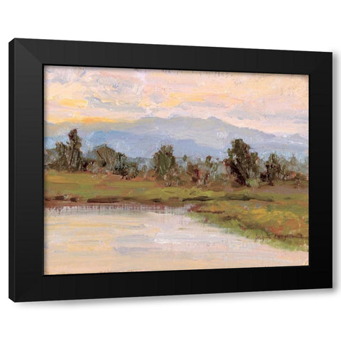 Jewels of the Wetlands Series One Black Modern Wood Framed Art Print by Curt, Brigitte