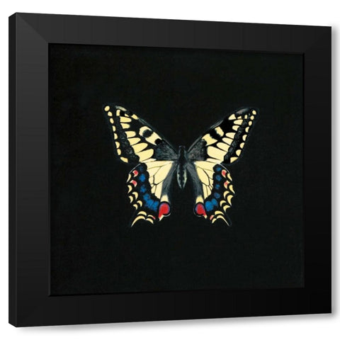 Butterfly on Black Black Modern Wood Framed Art Print by Charlotte, Joanna