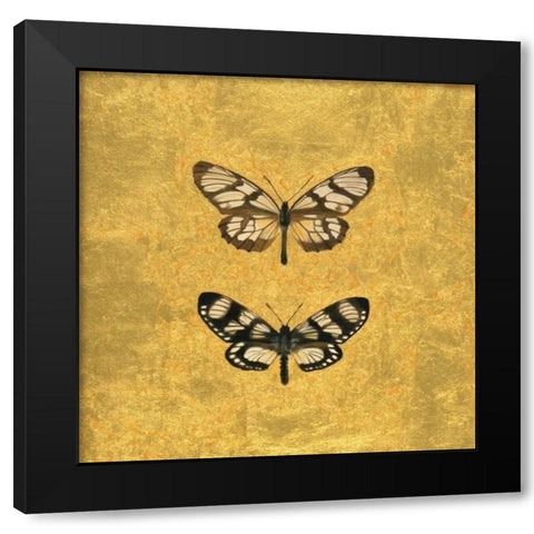 Pair of Butterflies on Gold Black Modern Wood Framed Art Print by Charlotte, Joanna