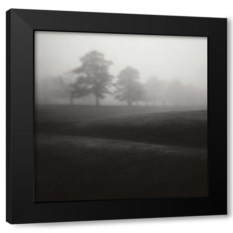 Fog Tree Study II Black Modern Wood Framed Art Print with Double Matting by Cook, Jamie
