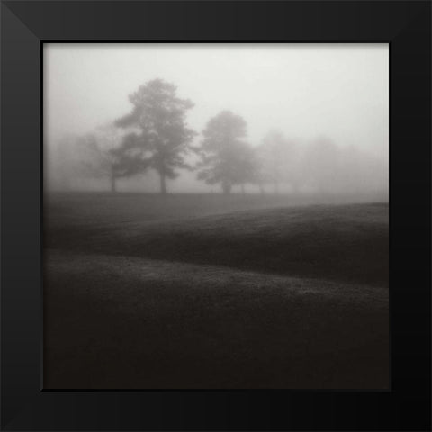 Fog Tree Study II Black Modern Wood Framed Art Print by Cook, Jamie