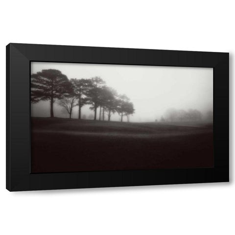 Fog Tree Study III Black Modern Wood Framed Art Print with Double Matting by Cook, Jamie