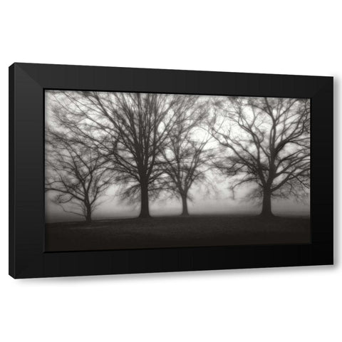 Fog Tree Study IV Black Modern Wood Framed Art Print with Double Matting by Cook, Jamie