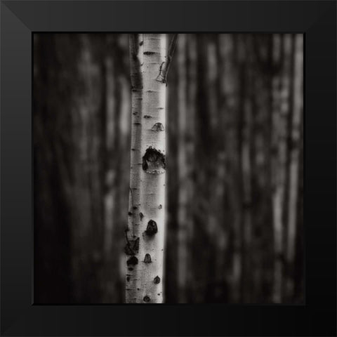 Equilibrium Black Modern Wood Framed Art Print by Cook, Jamie