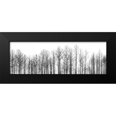 Straightforward Black Modern Wood Framed Art Print by Cook, Jamie