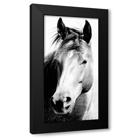 Wild Whispers I Black Modern Wood Framed Art Print by Corpeny, Peggy