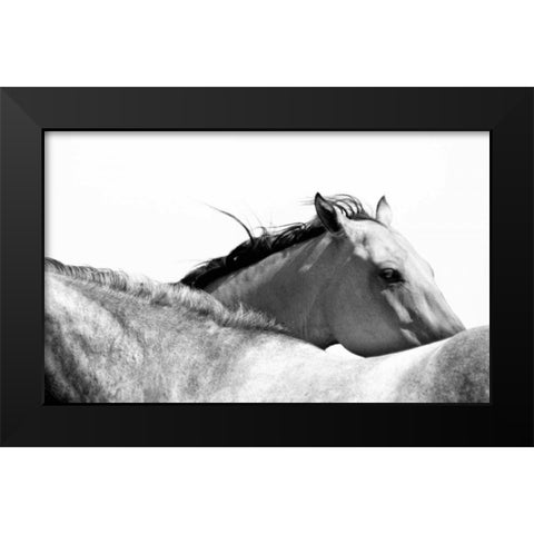 Wild Whispers II Black Modern Wood Framed Art Print by Corpeny, Peggy