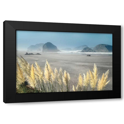 Pampas Beach Black Modern Wood Framed Art Print with Double Matting by Frates, Dennis