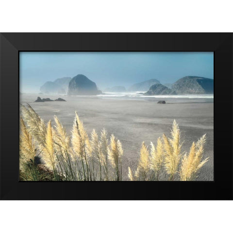 Pampas Beach Black Modern Wood Framed Art Print by Frates, Dennis