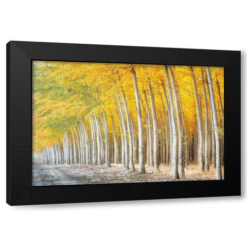 Gold Alley Black Modern Wood Framed Art Print with Double Matting by Frates, Dennis