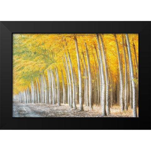 Gold Alley Black Modern Wood Framed Art Print by Frates, Dennis