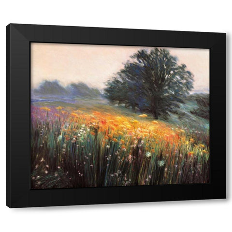 Misty Morning III Black Modern Wood Framed Art Print by Friedman, Jon R.