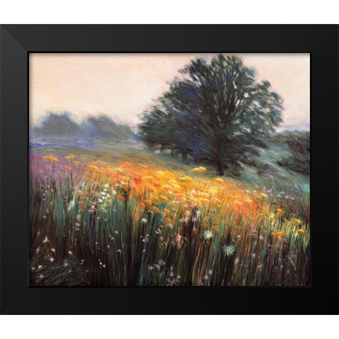 Misty Morning III Black Modern Wood Framed Art Print by Friedman, Jon R.