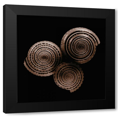 Sundials Black Modern Wood Framed Art Print by Faragher, Michael