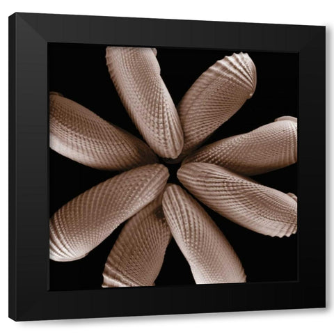 Convergence Black Modern Wood Framed Art Print with Double Matting by Faragher, Michael