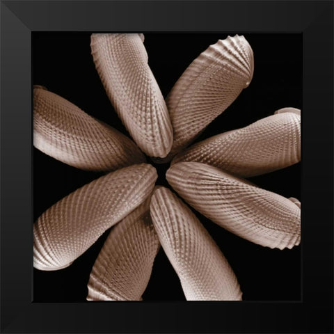 Convergence Black Modern Wood Framed Art Print by Faragher, Michael