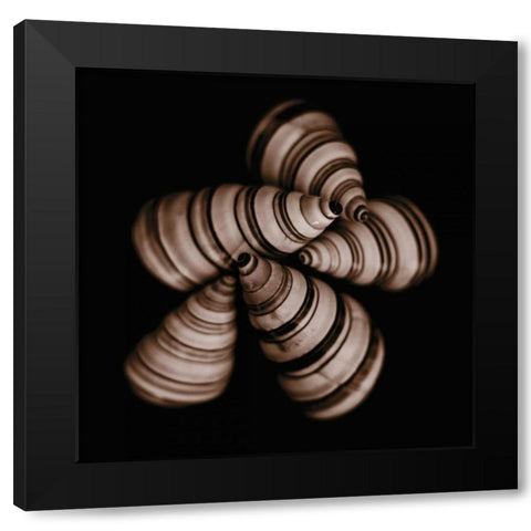Focus Black Modern Wood Framed Art Print with Double Matting by Faragher, Michael