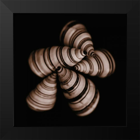 Focus Black Modern Wood Framed Art Print by Faragher, Michael