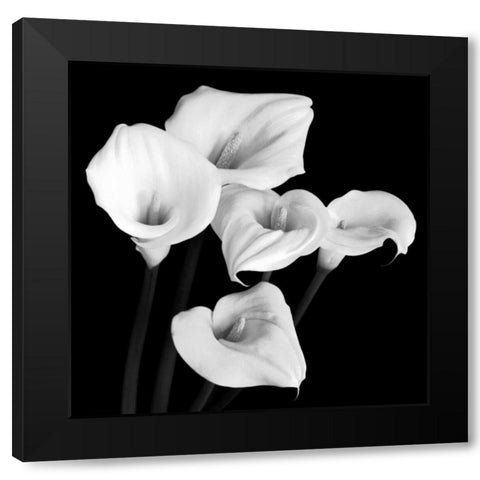 Harmony Black Modern Wood Framed Art Print with Double Matting by Faragher, Michael