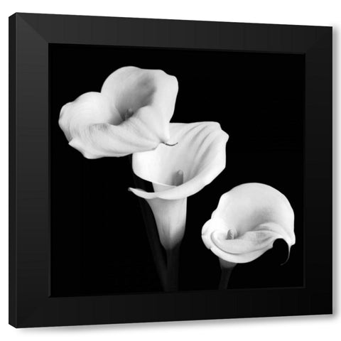 Sisters Black Modern Wood Framed Art Print by Faragher, Michael