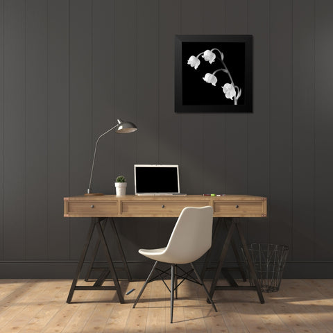 Spring Bells I Black Modern Wood Framed Art Print by Faragher, Michael