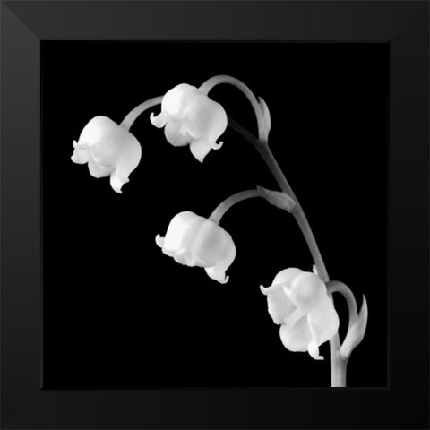 Spring Bells I Black Modern Wood Framed Art Print by Faragher, Michael