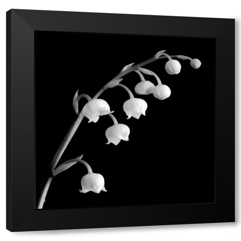 Spring Bells II Black Modern Wood Framed Art Print with Double Matting by Faragher, Michael