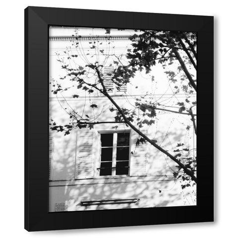 Autumn Shadows II Black Modern Wood Framed Art Print by Gomis, J.