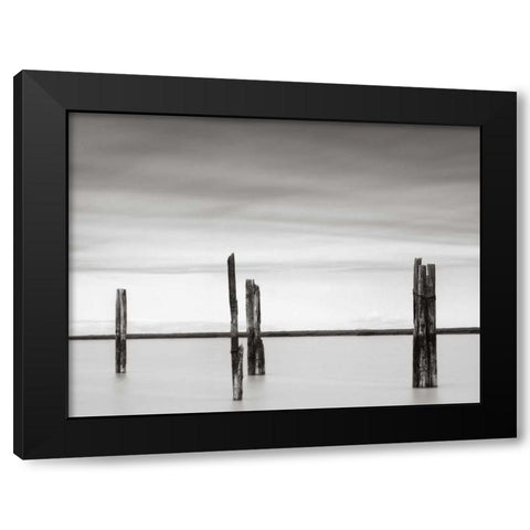 Cluster of Posts II Black Modern Wood Framed Art Print by Hislop, Lawrence