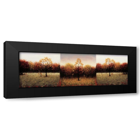 Trois Scenes Black Modern Wood Framed Art Print with Double Matting by Hall, Travis