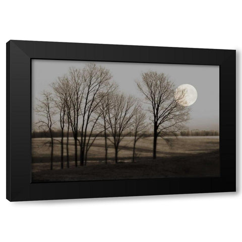 November Moon Black Modern Wood Framed Art Print by Jacks, Heather