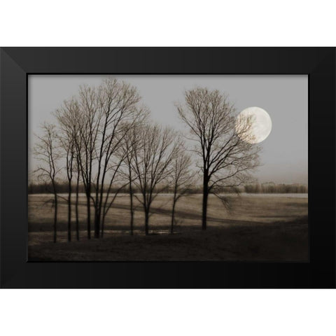 November Moon Black Modern Wood Framed Art Print by Jacks, Heather