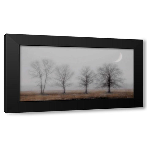 Early December Black Modern Wood Framed Art Print with Double Matting by Jacks, Heather