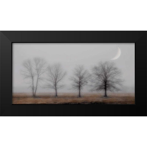Early December Black Modern Wood Framed Art Print by Jacks, Heather