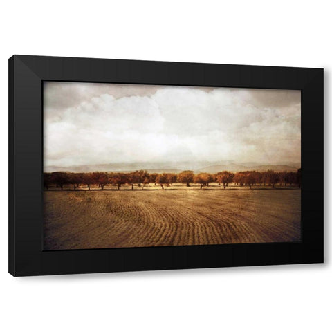 The Olive Grove Black Modern Wood Framed Art Print with Double Matting by Jacks, Heather