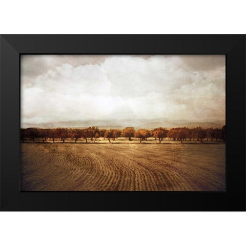 The Olive Grove Black Modern Wood Framed Art Print by Jacks, Heather