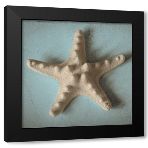 Seashell Study III Black Modern Wood Framed Art Print with Double Matting by Jacks, Heather