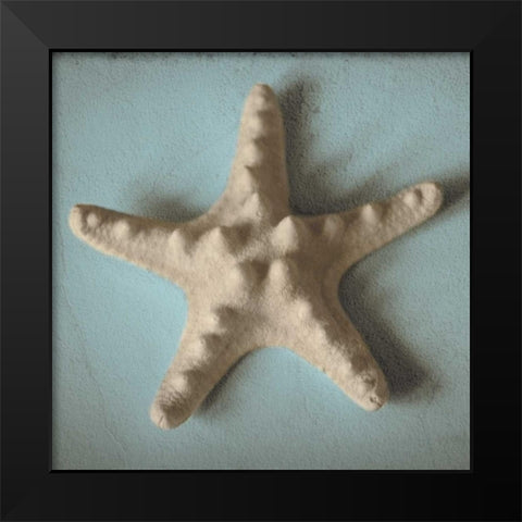 Seashell Study III Black Modern Wood Framed Art Print by Jacks, Heather