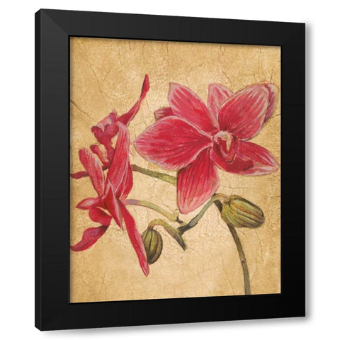 HawaiianTropics II Black Modern Wood Framed Art Print by Jardine, Liz