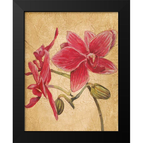 HawaiianTropics II Black Modern Wood Framed Art Print by Jardine, Liz
