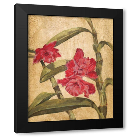 Hawaiian Tropics III Black Modern Wood Framed Art Print by Jardine, Liz