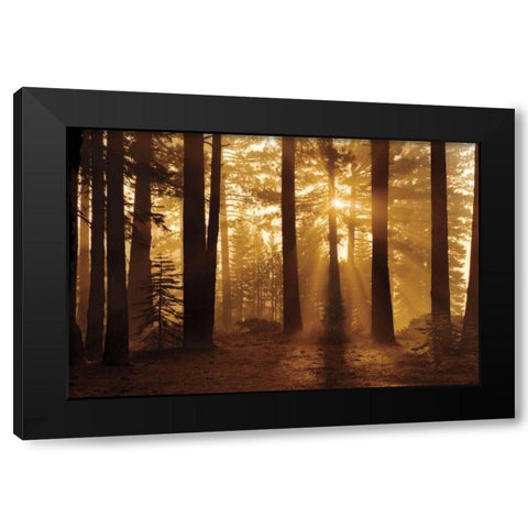 Tahoe Smoky Sunrise Black Modern Wood Framed Art Print with Double Matting by Jones, Mike