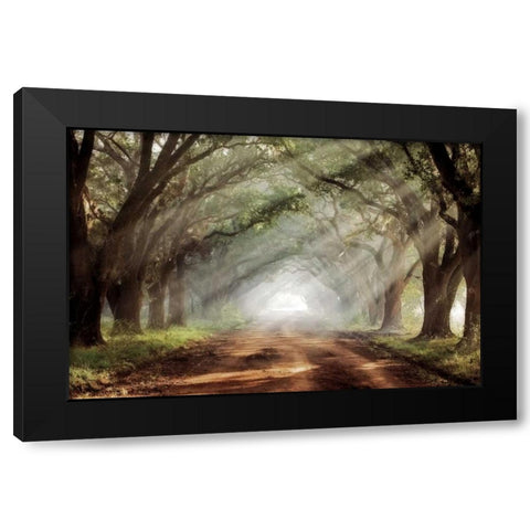 Evergreen Plantation Black Modern Wood Framed Art Print by Jones, Mike