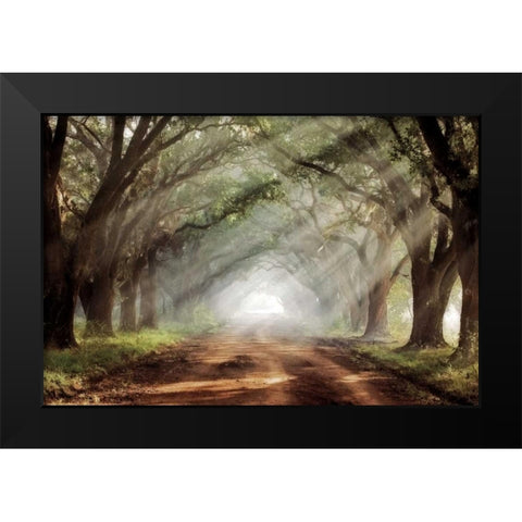 Evergreen Plantation Black Modern Wood Framed Art Print by Jones, Mike
