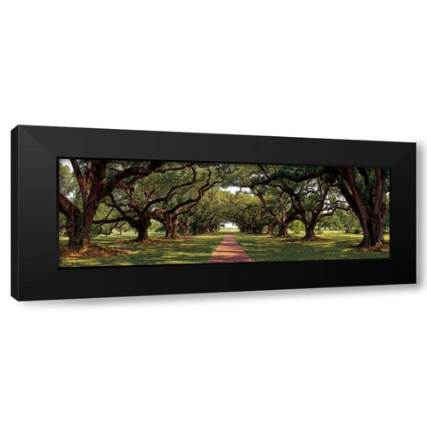 Enchanted Oaks Black Modern Wood Framed Art Print by Jones, Mike