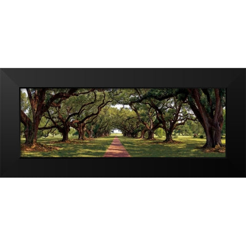 Enchanted Oaks Black Modern Wood Framed Art Print by Jones, Mike