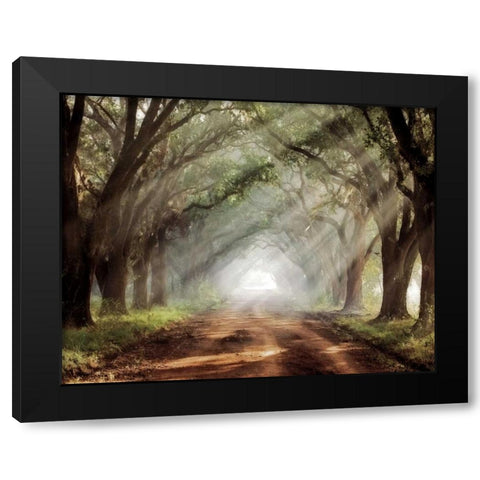 Evergreen Plantation Black Modern Wood Framed Art Print with Double Matting by Jones, Mike