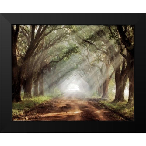 Evergreen Plantation Black Modern Wood Framed Art Print by Jones, Mike